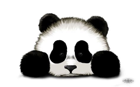 Baby Panda Drawings Clipart Best