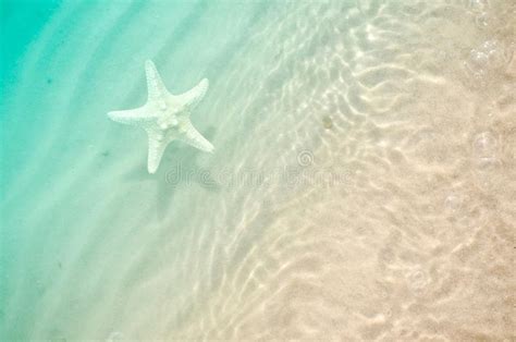 Starfish On The Sand Beach And Ocean As Background Summer Beach Stock