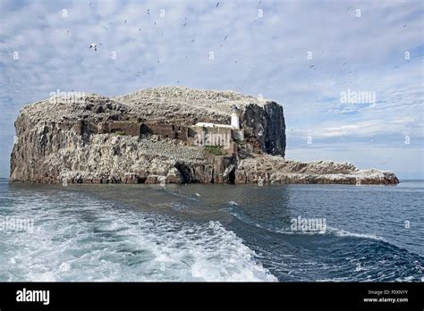 The Bass Rock In The Firth Of Forth East Lothian Scotland Stock Photo