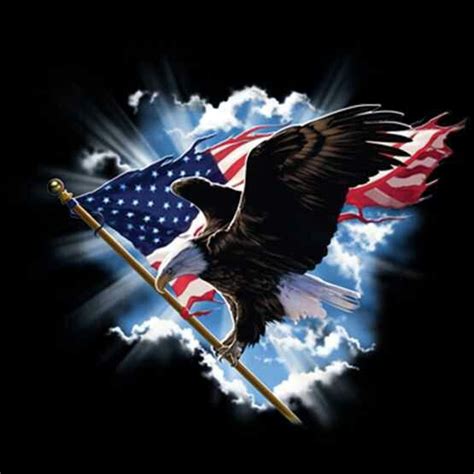 Very Strong Patriotic Eagle Bald Eagle Flag Background