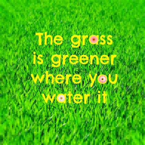 The Grass Is Greener Be Kitschig