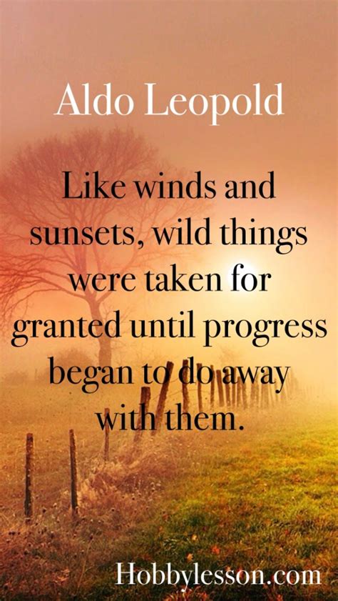 These sunset quotes below all share the same thing: 30 Inspirational Sunset Quotes Which Explains Us Well