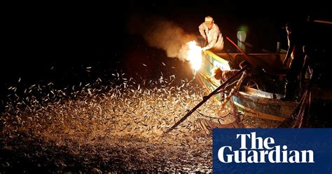 Keepers Of The Flame Fire Fishing In Taiwan In Pictures World News