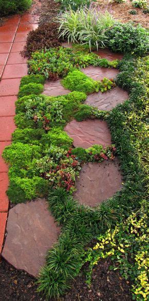 Sedums Are Decorative Between Paving Stones Great Fillers In