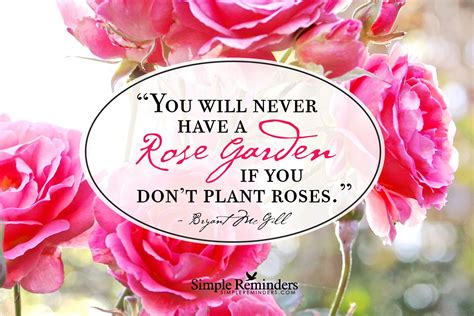 Simplereminders Simple Reminders Reminder Rose Quotes