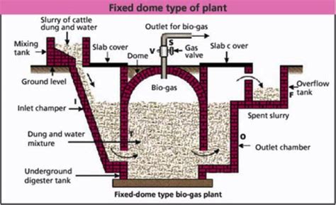 Photographs Of Biogas Plant Biogas Technology