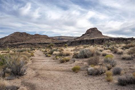 Mojave Desert Road In Sunset — Stock Photo © Superbo