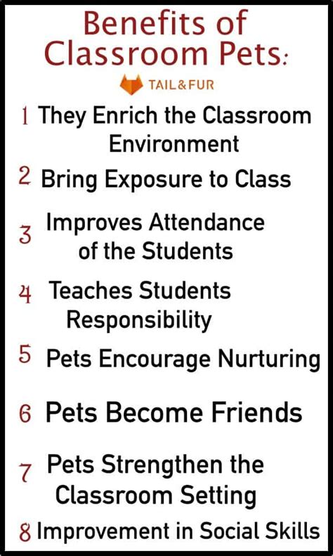 10 Practical Benefits And Problems With Classroom Pets