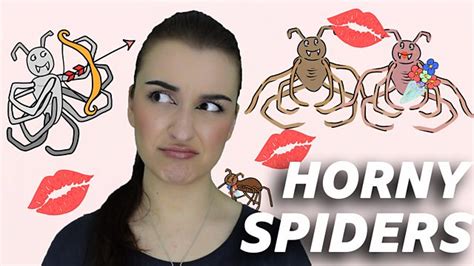 Bbc Scotland The Social Horny Spiders In Your House