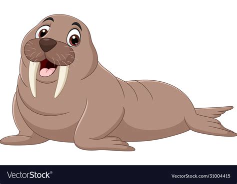 Cartoon Walrus Isolated On White Background Vector Image