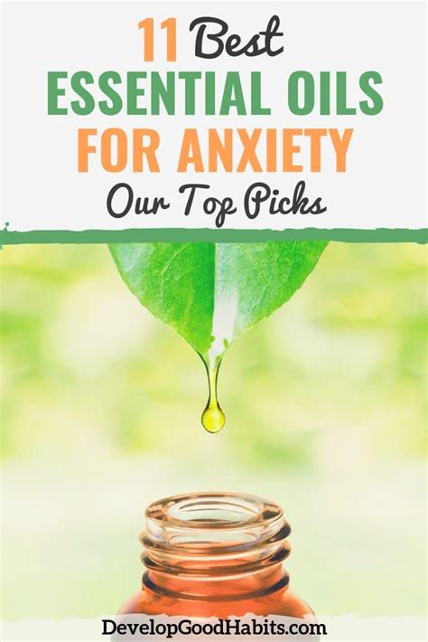 11 best essential oils for anxiety 2021 aromatherapy oil review
