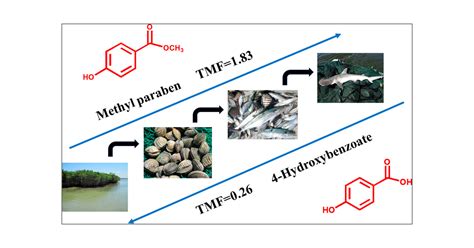 Trophic Magnification Of Parabens And Their Metabolites In A