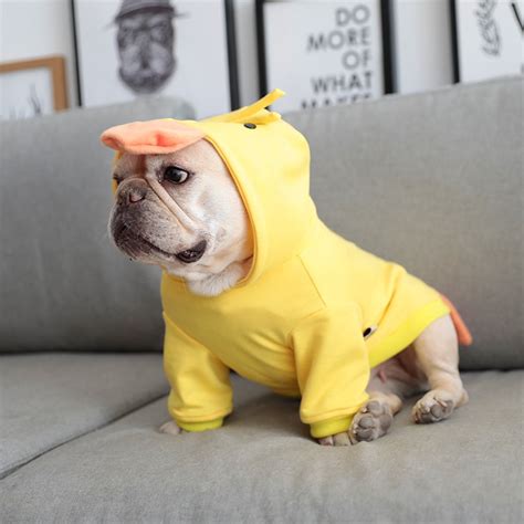 Funny Dog Clothes Pug Schnauzer French Bulldog Clothing Hoodie Coat Pet
