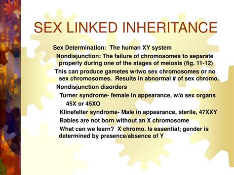 Ppt Sex Linked Inheritance Powerpoint Presentation Id605313