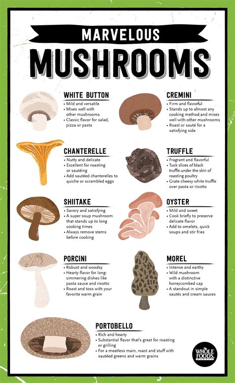 15 Different Mushrooms And How To Cook Them Artofit
