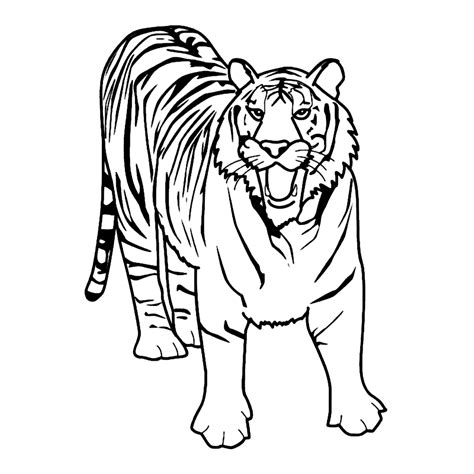 Tiger Ausmalbild
