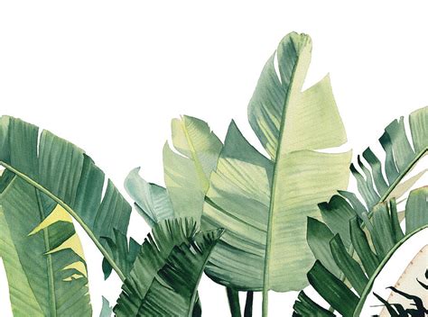 Watercolor Tropical Leaves Painting By Inna Patiutko Fine Art America