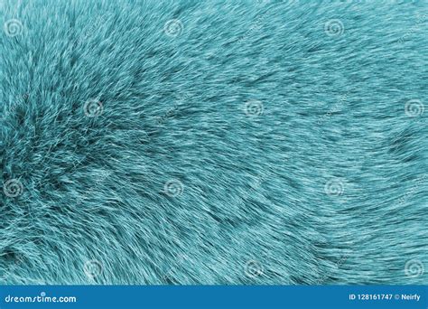 Blue Fur Background Stock Image Image Of Clean Soft 128161747