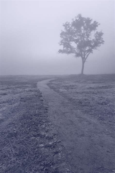 Into The Mist Bw Photograph By Steve Gadomski Fine Art America