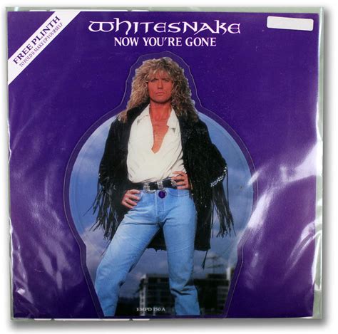 Whitesnake Now Youre Gone The Vinyl Underground