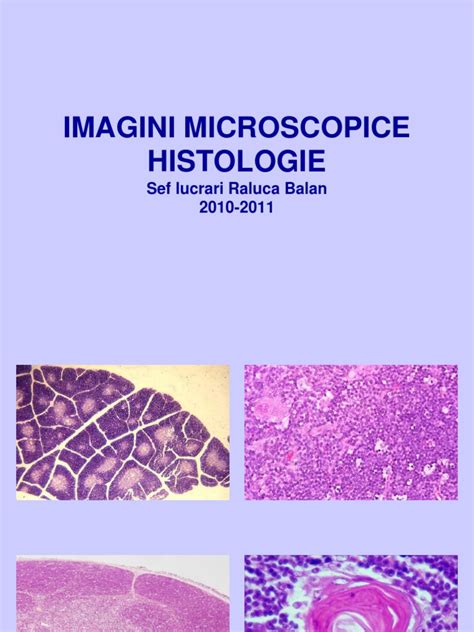 Imagini Microscopice Histologie Pdf