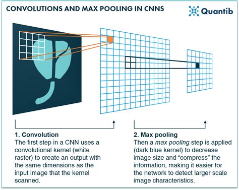 Deep Learning Radiology The Secret Of Convolutional Neural Networks