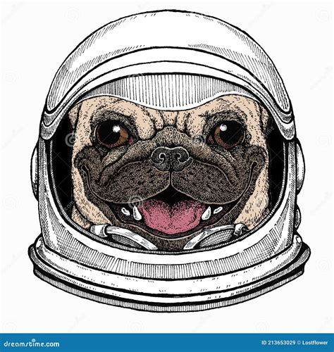 Vector Pug Dog Portrait Animal Head Face Astronaut Animal Vector