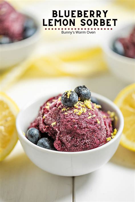 Blueberry Lemon Sorbet Blueberry Cobbler Recipes Sorbet Recipes