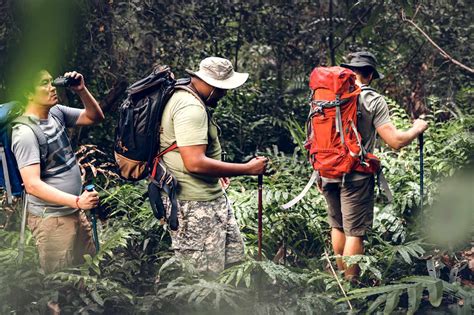 Top Hiking Trails In The Peruvian Amazon Rain Forest Travel Tips