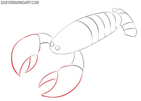 How To Draw A Crayfish Easy Drawing Art