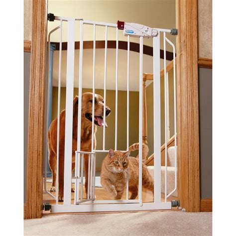 Carlson Pet Products Extra Tall Pet Gate With Small Pet Door 162002