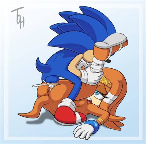 1496741 Sonic Team Sonic The Hedgehog Tikal The Echidna