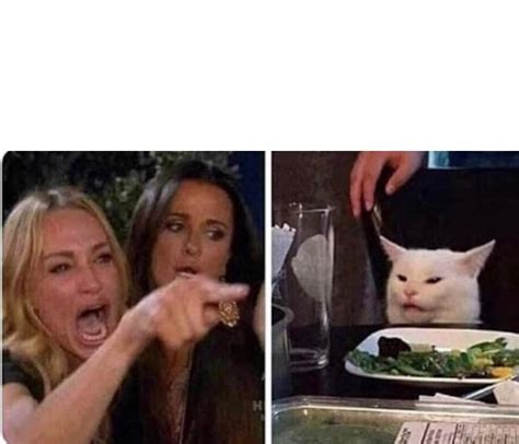 Woman Screaming At Cat Meme Blank