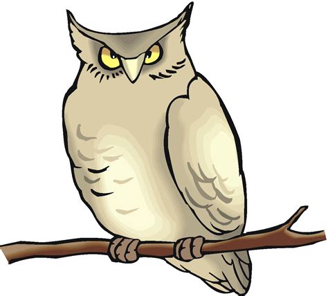Free Owl Clipart
