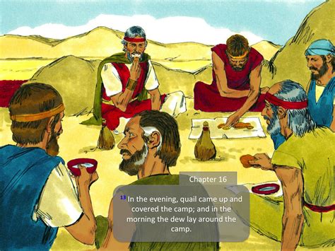 Heavenly Provision Manna And Quail Pnc Bible Reading Illustrated