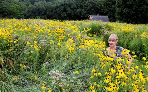 After 3 years, prairie planting is awash in life, color | Home & Garden | qctimes.com