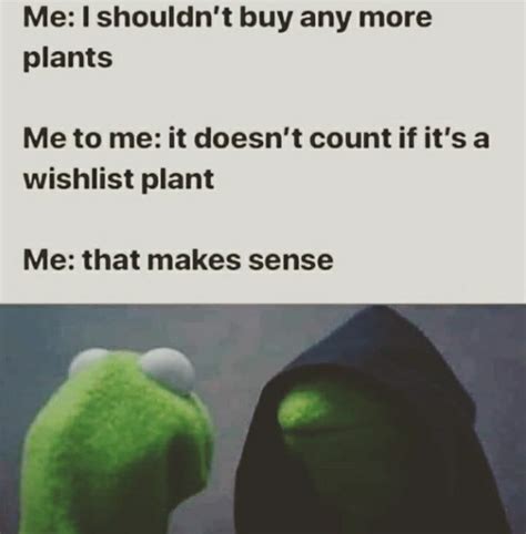 60 Plant Memes For You To Dig Through Gardening Memes Plant Jokes