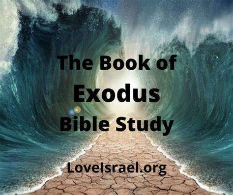 The Book Of Exodus Bible Study Chapter 2 Part 2 Biblically Inspired Life