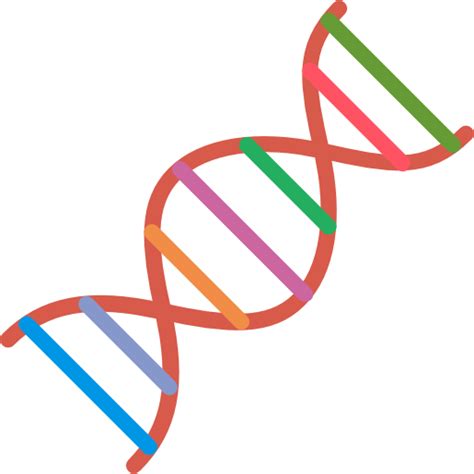 Dna Png Transparent Image Download Size 512x512px