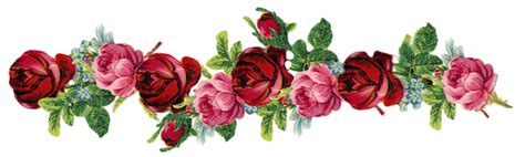 Free Digital Vintage Rose Frame And Border Png Gorgeous Red