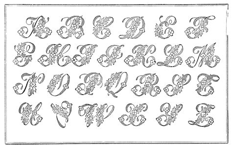 Beautiful Letters Alphabet Set Part Vector Illustra Vrogue Co