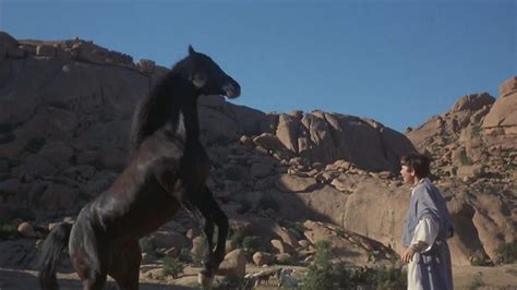 The Black Stallion Returns FilmFed