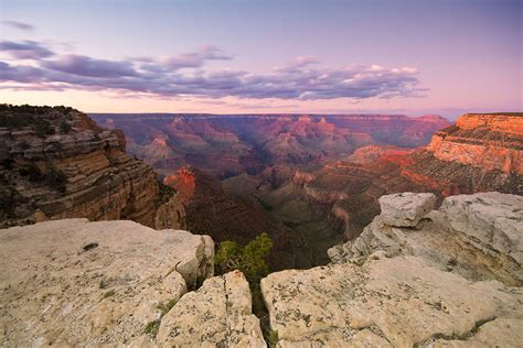 Check spelling or type a new query. Gray Line Tours: Grand Canyon South Rim with Helicopter ...