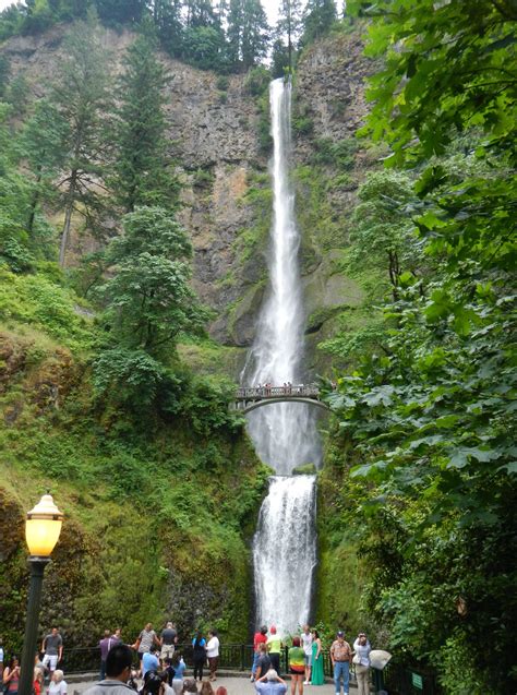 Multnomah Fallscolumbia Gorge Waterfallsmt Hood Loop Tour Ecotours