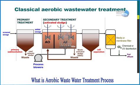 Simplified Illustration Of Aerobic Wastewater Treatment Processes Images