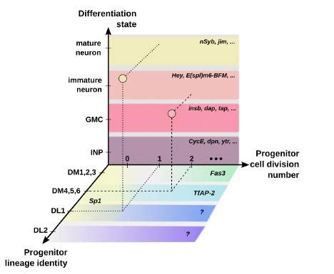 Figure Represents The Complexi Image Eurekalert Science News Releases