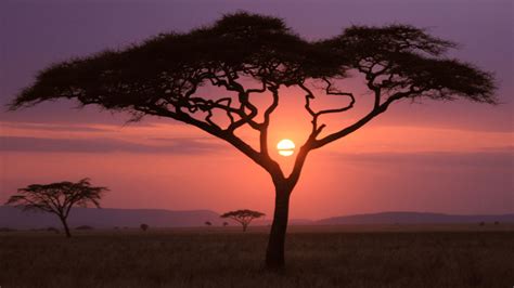 African Sunset Wallpapers Hd Wallpapers Id 15942