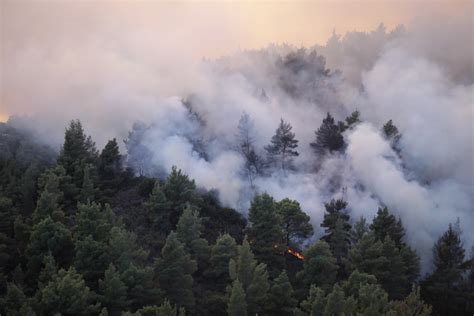Ο συναγερμός στην πυροσβεστική αυτήν την φορά αφορούσε σε πύρινο μέτωπο στην περιοχή γέννα του δήμου γόρτυνας. Κρήτη: Φωτιά στη Σύλλαμο Ηρακλείου