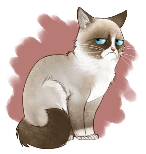 Free step by step easy drawing lessons, you can learn from our online video tutorials and draw your favorite characters in minutes. Grumpy cat by Adlynh.deviantart.com on @deviantART ...