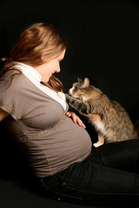 Pregnant With Cat Stock Image Image Of Animal Fashion 4854783